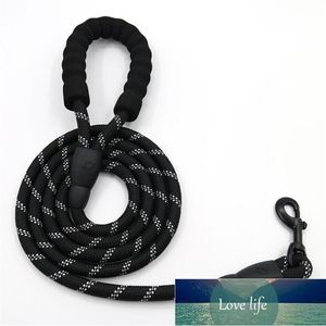 Luminous Beautiful 1.5M Nylon Safety Buckle Dog Pet Leash High Quality 02