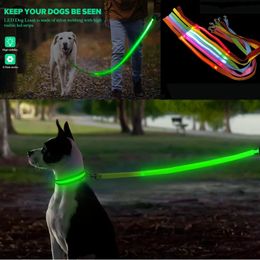 Lankachtige hondenriem touw LED-verlichting Nylonriem voor honden Nachtveiligheid Anti-kosten/Vermijd auto-ongeluk Hondenkraag Harness Accessoires