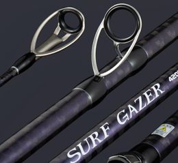 Lurekiller -merk Fuji leidt Surf Gazer Surfcasting Rod 42m 3 Secties Sinker 100300G BX High Carbon Long Cast Rod6077868