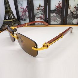 Luxe Designer Zonnebrillen voor Dames Gepolariseerde Heren Sport Mode Polygon Unieke Sunglass Party Travel Strand Hout Persoonlijke Carti Zonnebril Merk Brillen