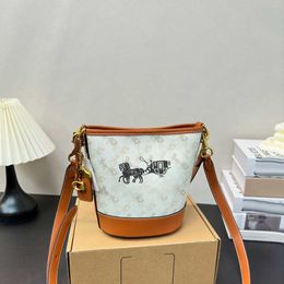 Luxe tassen Designer Dames Tas Tas Winkelen Strand Tote Lady Mode Leer Crossbody Bucket Bag Denim Handtassen 240321