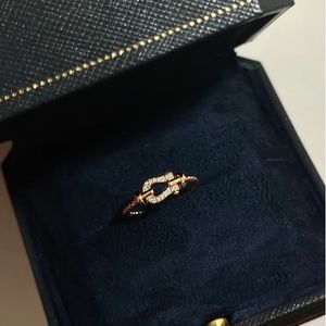 Luxe Band Ringen Merk Designer S925 Sterling Zilveren Paard Schoen Emmer Lock Charm Ring Voor Vrouwen Engagment Bruiloft Sieraden