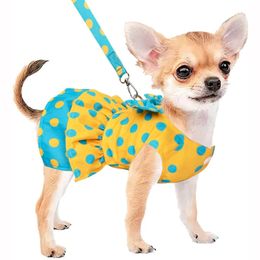 Robe de chien de luxe Bowknot pour les petits chiens Summer Yorkie Chihuahua Girl Puppy Dog Clothes Princess Harness Robe and Leash Set 240523