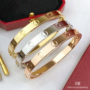 Schroefarmbandontwerper voor vrouw luxe armbandontwerper Bracelet voor man schroef armbanden schroef bangle armbanden luxe sieraden luxe sieraden