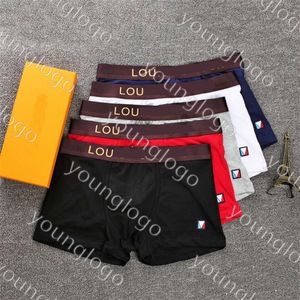 Marque de luxe hommes boxeurs Sexy hommes sous-vêtements mode coton caleçons respirant Boxer Shorts