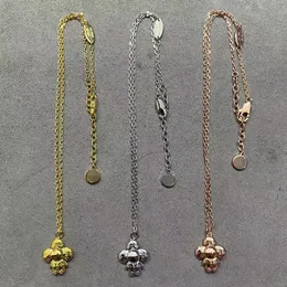 Luxe merk ketting hangers ontwerper mode sieraden cjeweler brief vergulde gouden zilveren ketting voor mannen vrouw trendy tiktok hebben kettingen sieraden vn-25