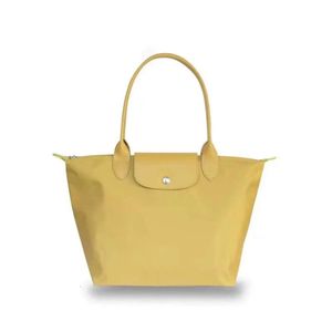 Marques de luxe dames sac à main tendance Simple décontracté grande capacité en forme de boulette sac à bandoulière en Nylon