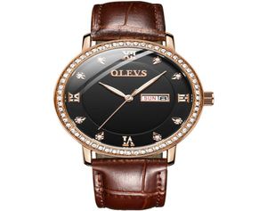 Luxury Brown Leather Watch Men Diamond Mens Watches Auto Date Business Montre Homme Termroping Quartz Clock for Man Regio New5182089