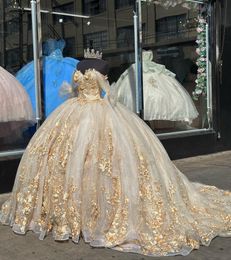 Robes de luxe Champagne Quinceanera avec des fleurs florales 3D dorées appliquées en dentelle robe de bal princesse douce 16 robe sur l'épaule dos à lacets tenue de bal d'anniversaire