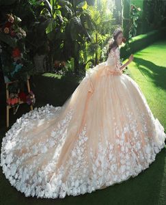 Robes de mariée de champagne de luxe à demi-manches pur ivory appliques en dentelle de mariées à ordures