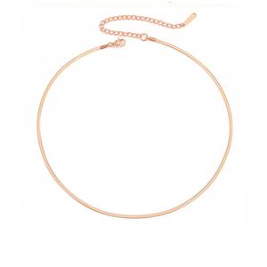 Luxe klaver ketting ontwerper eenvoudige ketting voor dames bruiloft sieraden