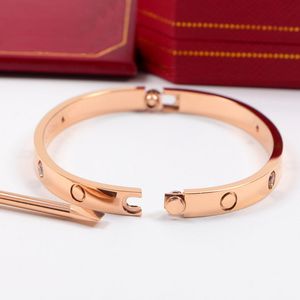 Luxe Design Titanium Staal Horizontale Lijn Schroef Liefde Bangle Vrouwen, Schroevendraaier Schroef Armbanden, Pulseira Feminina Gratis Verzending