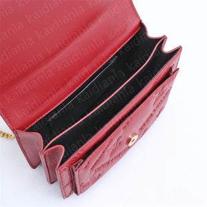 Luxe designer tassen Fashion Bag schouder Woman Chain Bag Messenger Classic Handtas Crossbody tas portemonnee