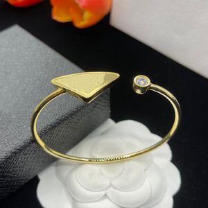 Luxe Designer Armband Sieraden Dames Heren Mode Rose Gouden Armbanden Voor Vrouwen Legering Sieraden Chain Bangle Geschenken Bruiloft Armbanden