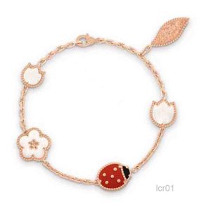 Luxe ontwerper Europa Top Kwaliteit Beroemde merk Silver Sieraden Rose Gold Color Natural Gemstone Lucky Ladybug Spring