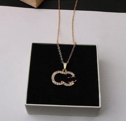 Luxe ontwerper Hangdoek Kettingen C Letter Sieraden 18K Gold vergulde ins Crystal Rhinestone Necklace Women Choker Chain Accessoires Geschenken