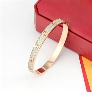 Designer de luxe Bracelet Bracelet Bijoux de mode Trendy Bangle 18k Gold plaqué en acier en acier pour femmes Bracelets à ongles Silver Classic Designer