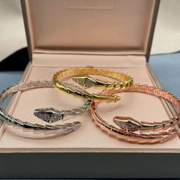 Luxe ontwerper slangvormige gouden armband vrouwelijke slangenkop rosé goud 18k gouden armband Alle titaniumlegering electroplating vervaagt nooit als een geschenk
