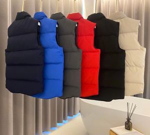 Veste bouffante pour hommes et femmes, manteau d'hiver, version supérieure, véritable duvet, marque de luxe, vente en gros, 2 pièces, 5% de réduction