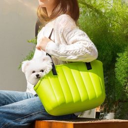 Bolsa de mascota de Eva para gatos y cachorros al aire libre Bolsa portátil Portable Bag Bag de gato Bolsa de mascota Bolsa de hombro al por mayor