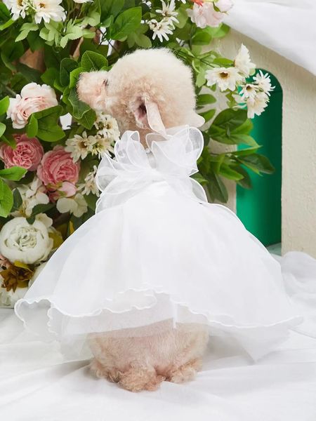 Robe de mariée de chien de luxe blanc tulle bowknot en penddy bicher