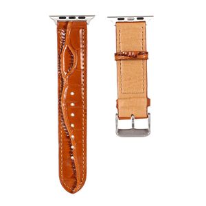Luxe voor Apple Watch -band Band Apple 7/6/5/4/3 Watch Riem Iwatch Fashion Lederen Strap 42 Crocodile Print 38 Bowl -band 44
