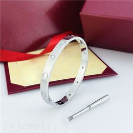 Luxe vergulde klassieke armband ontwerpers voor tienermeisjes esthetisch paar Valentijnsdag armbanden modieuze kleurrijke metalen diamanten armband ZB061 I4