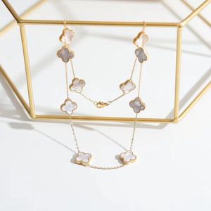 Luxe high-end sieraden ketting charme modeontwerp ketting 18k goud vergulde lange keten designer stijl populair merk voortreffelijk geschenk