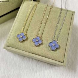 Colliers de charme de créateur de trèfle d'amour de luxe pour bijoux de collier ras du cou de chaîne de diamant violet