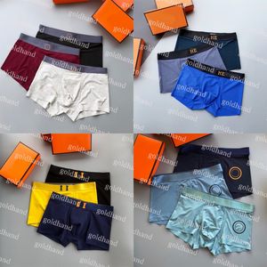Luxe Mans Sous-vêtements Designer Hommes Boxers Haute Qualité Coton Slip Confortable Slip Avec Boîte