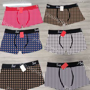 Luxe Heren Onderbroek Designer Sport Boxers Sexy Mannen Ondergoed Hoge Kwaliteit Katoenen Onderbroek 5 stks/partij