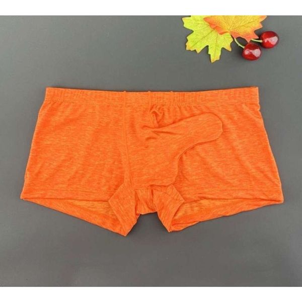 Luxury Mens Underwear Sousn-Pants Boxer Brief