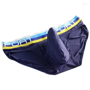 Luxe heren ondergoed onderbroek olifant neus sexy mannen u convex bouch bouch ademende mesh sexi shorts mannelijke cueca gay penis zijden zomers laden kecks thong v65x