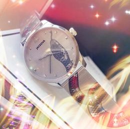 Relojes de lujo para hombre para mujer Snake Bee Diseñador 38 mm Alta calidad Sports Dweller 316L Relojes de pulsera de cuarzo de acero inoxidable