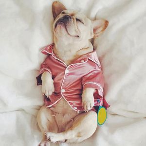 Luxe huisdierhond pyjama's zachte zijde Franse bulldog pyjama jas kleding voor kleine honden shih tzu puppy kattenkleding xs-2xl 240515