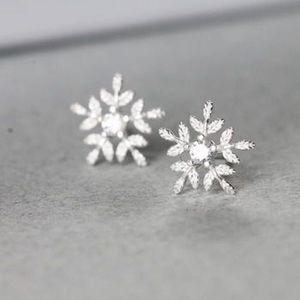 Luxe Zilveren Kleur Dames Oorbellen Sneeuwvlok Vorm Mode Accessoires voor Party Daily Wear Veelzijdige Oorbel Vrouw