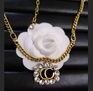 Luxe stijl hanger Gold-Tuled Necked Necklace merkontwerper hoogwaardige sieraden ketting dames geschenk hoogwaardige verjaardag bruiloft sieraden lange ketting