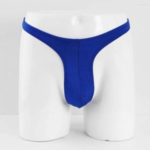 Luxury Underwear Mens Mens Sous-pants hommes Sexy Thongs Bikini Brief G-String Short Low Rise Soild T-Back Brief