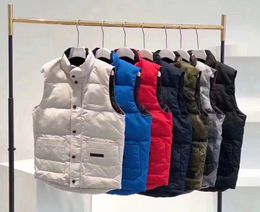 Luxe vest Warm geometrisch bedrukte jas losse jas Fashion Trend Coat Men Women Mouwloze Casual Puffer Vest Coats Outerwear Dikke maat S-4XL 8 Stijlen