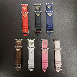 Luxury Watch Band WatchStrap en cuir pour pomme-watch Iwatch 9 8 7 6 5 4 SE