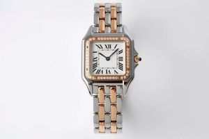 Relojes de lujo Movimiento de cuarzo Estuche de acero Conconentra con una dial de oro sintético Cheetah PantThere Elegant Elegant 22 mm Medium Women's Watch