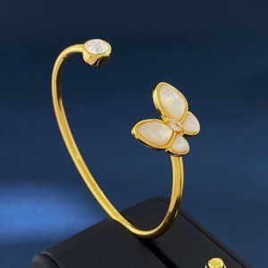 Luxe damesarmbanden Designer merk 18K vergulde armband roestvrijstalen bruiloft sieraden groothandel