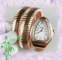 Luxe Dames Diamanten Ring Horloges Mineraal Super Spiegel Oppervlak Bee Star Snake Dweller Klok Roestvrij Stalen Band Quartz Beweging Stijlvol Cool Armband Polshorloge