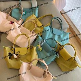 Luxury Women's Handbag Bag Bols