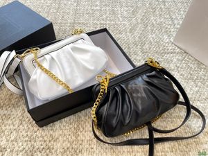 Luxury's Cloud Bag Designers Tassen Echte lederen handtas Top Kwaliteit Crossbody Body Dames Takken Dinner Tas met Chian Cross Body Small Square Doctor Purse