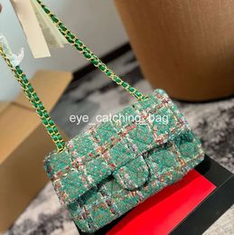 Luxurys Designer Bags Sacs à bandoulière Fashion Womens Handbag Hand Chain Gold Lady Underar Top Quality CrossbodyBody Woard Handsbags Tapes portefeuilles