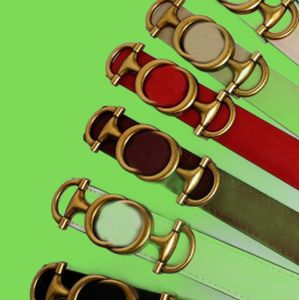 Luxurys Designers Belts For Woman Buckle Breedte 25 cm Cowhide Leather 7Colors Belt Gold Naald gesp. G 221206033065550