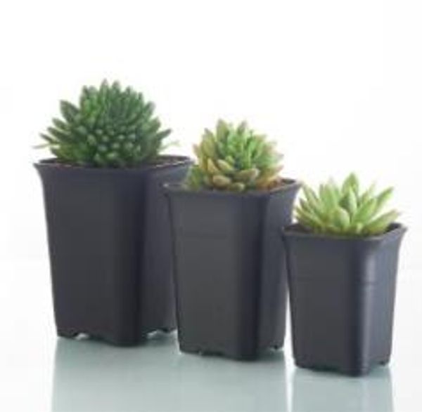 M pots de pépinière en plastique charnus pots carrés Vientiane mat noir et blanc pots de type plus épais DLH025