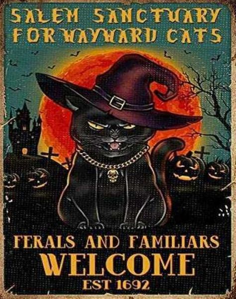 m Sanctuary for Wayward Cats Cat Halloween Tin Sign Cafe bar Home Wall Art Decoración Retro Metal Tin Sign 8x12 pulgadas3442830