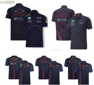 M15l herenpolo's F1 Formule 1 Racing T-shirt zomer nieuw teampolopak dezelfde stijl aanpasbaar
